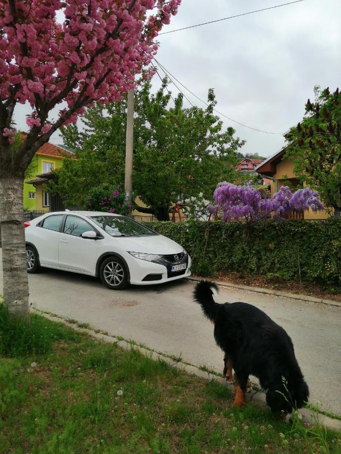 Apartmán Pansion Velickovic Niska Banja Exteriér fotografie