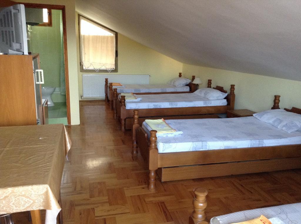 Apartmán Pansion Velickovic Niska Banja Pokoj fotografie