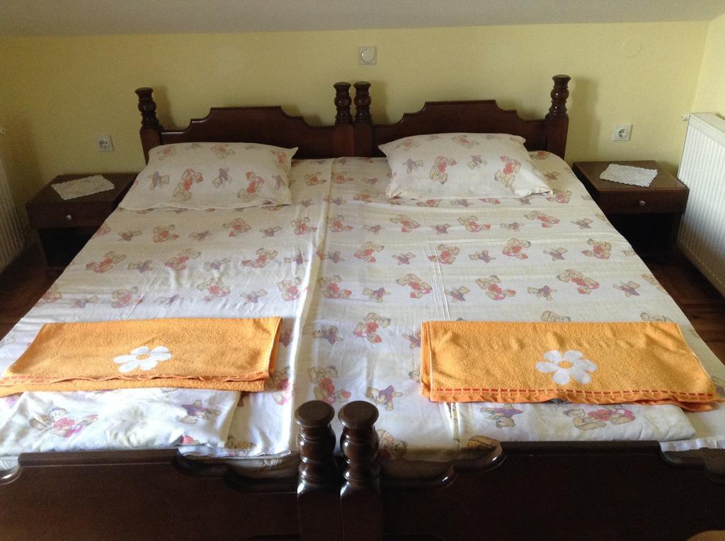 Apartmán Pansion Velickovic Niska Banja Pokoj fotografie