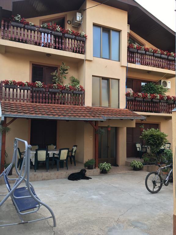 Apartmán Pansion Velickovic Niska Banja Exteriér fotografie