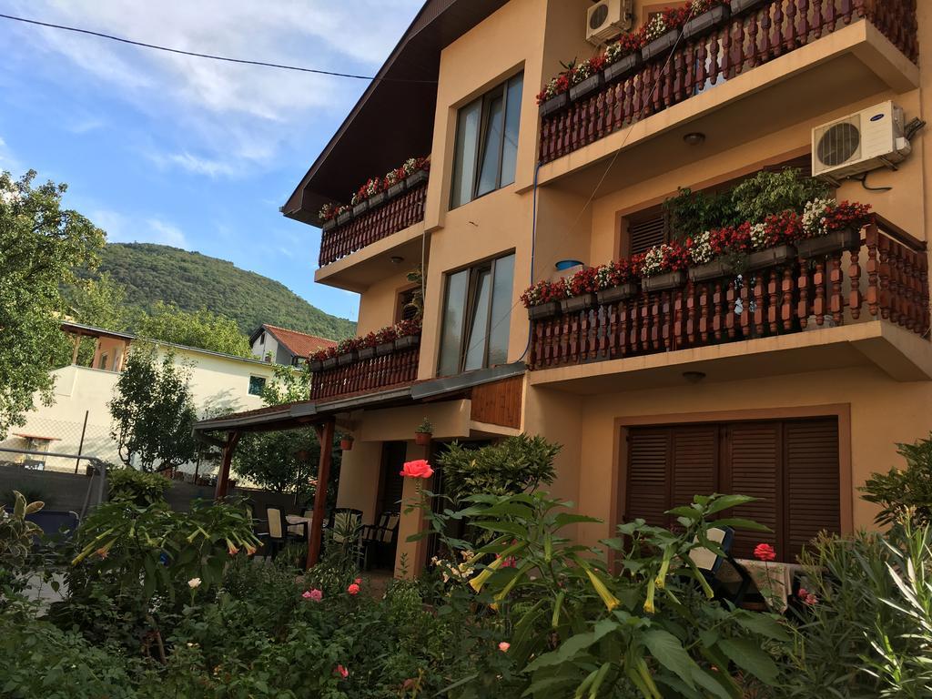 Apartmán Pansion Velickovic Niska Banja Exteriér fotografie