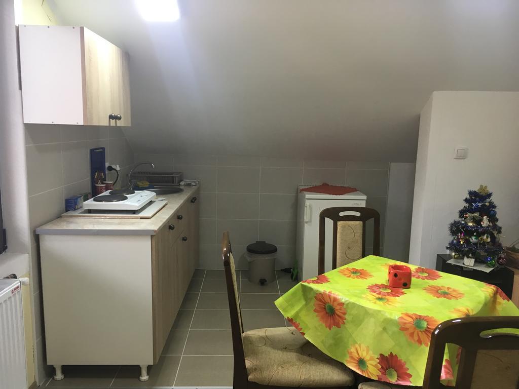 Apartmán Pansion Velickovic Niska Banja Exteriér fotografie