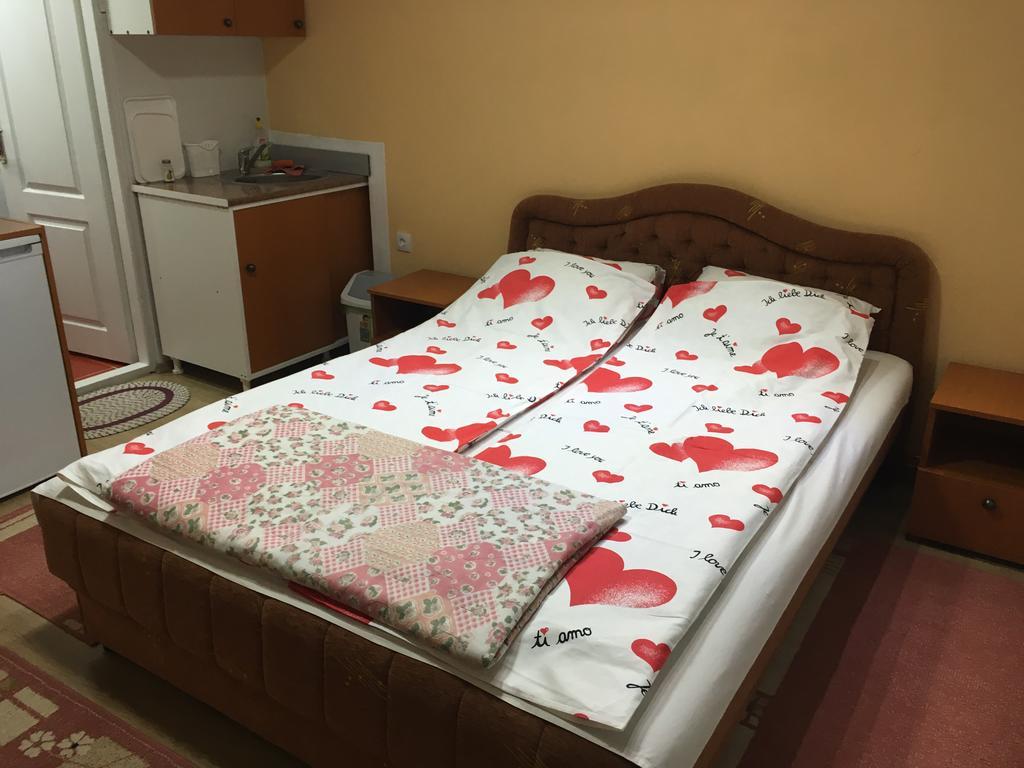 Apartmán Pansion Velickovic Niska Banja Exteriér fotografie