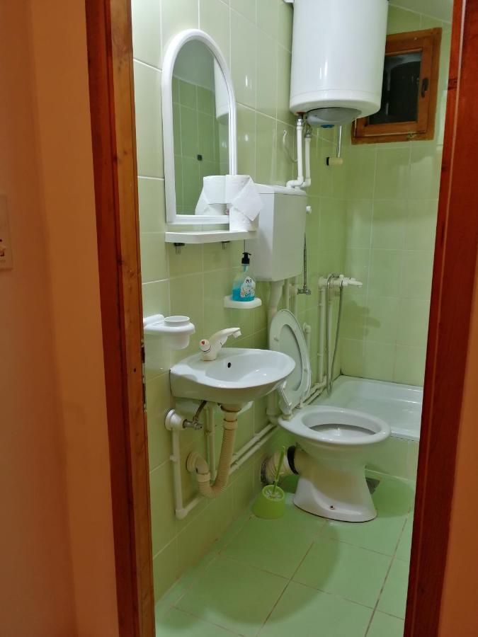 Apartmán Pansion Velickovic Niska Banja Exteriér fotografie