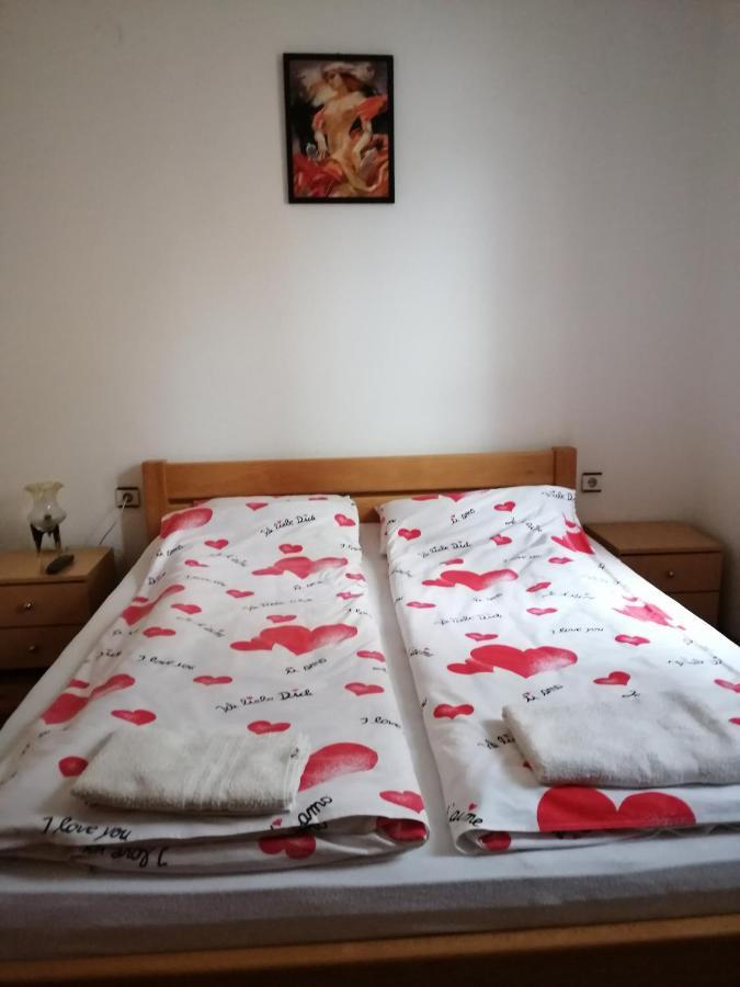 Apartmán Pansion Velickovic Niska Banja Exteriér fotografie