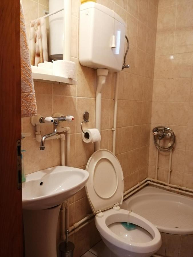 Apartmán Pansion Velickovic Niska Banja Exteriér fotografie